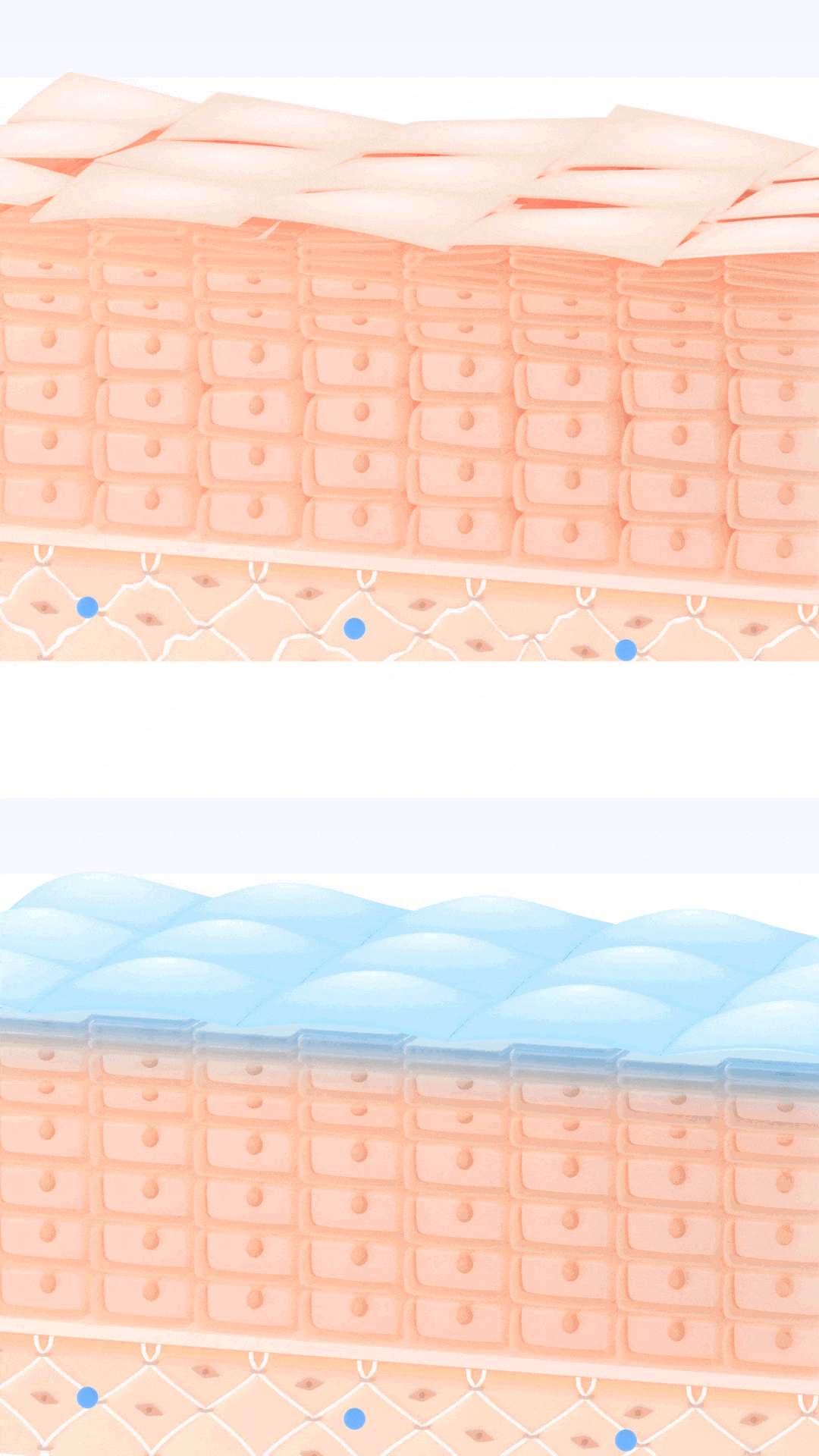 乱れているバリアと整ったバリアのイメージ画像